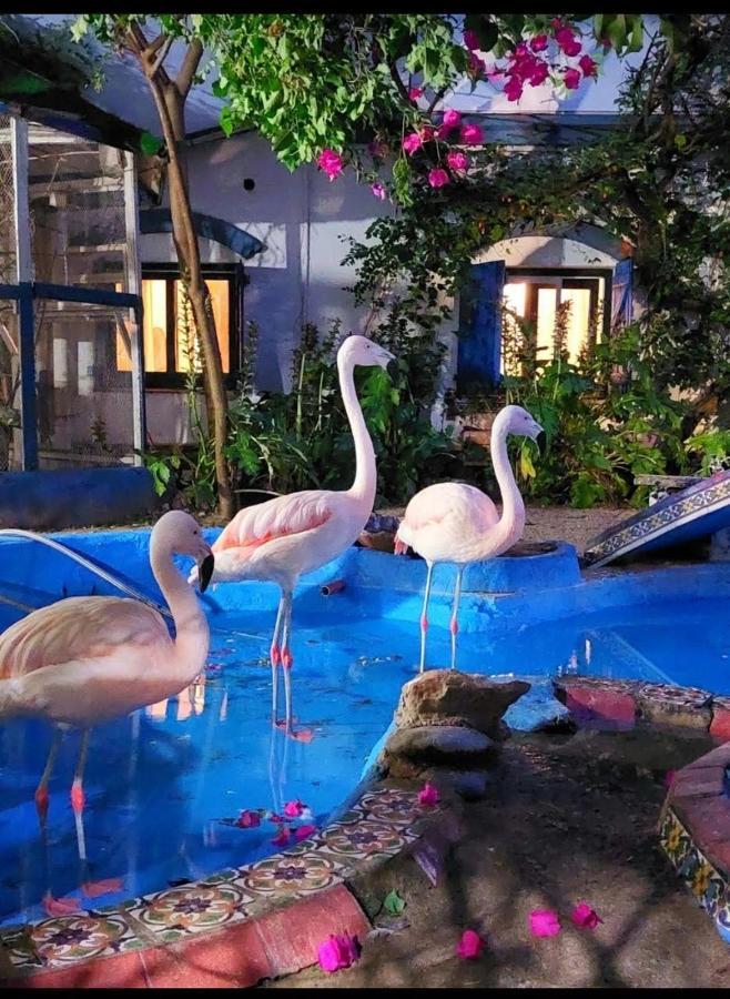 La Posada Del Sol Villa Gesell Extérieur photo